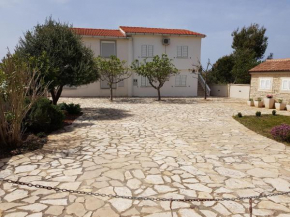 Apartments with a parking space Vir - 17254